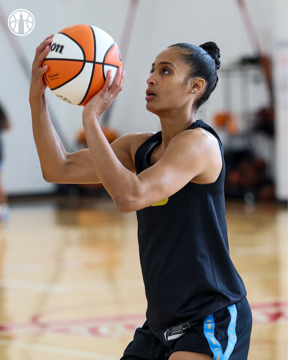 Chicago Sky tweet media