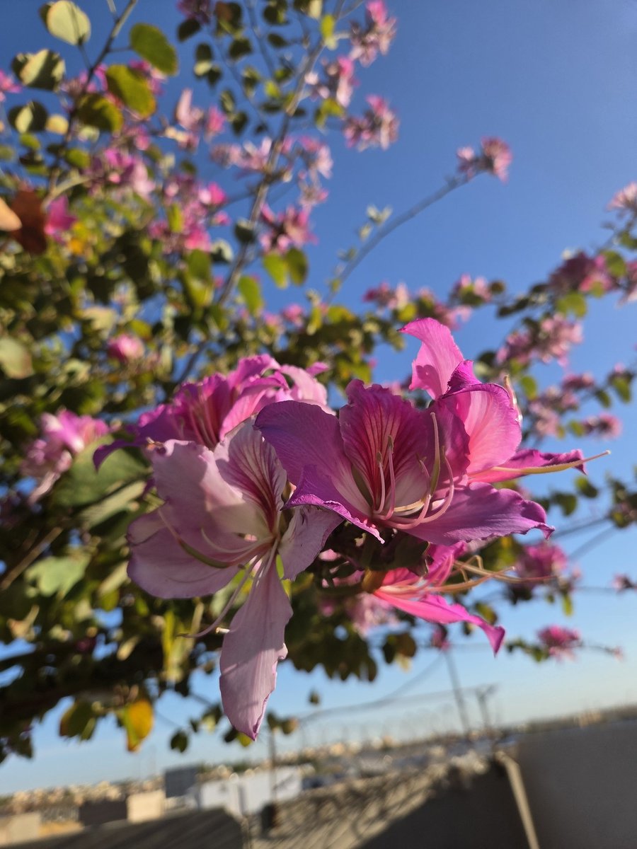 why bother! tweet media