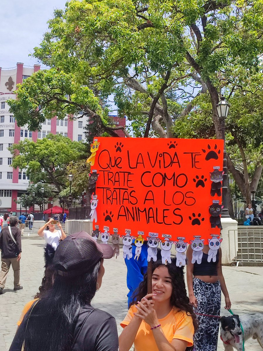 ReporteYa's tweet image. #19Abr #Caracas #Protesta #MaltratoAnimal 
@RobertLobo_ : Concentración en la Plaza Bolívar, para pedir reformas de leyes en pro de los animales. El maltrato animal debe conllevar sanciones más severas, es urgente. 
No es posible que en la mayoría de los casos los maltratadores