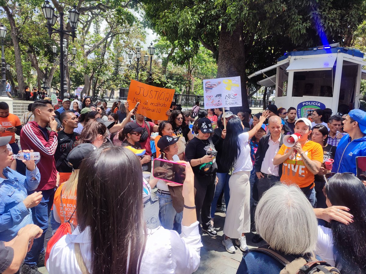 ReporteYa's tweet image. #19Abr #Caracas #Protesta #MaltratoAnimal 
@RobertLobo_ : Concentración en la Plaza Bolívar, para pedir reformas de leyes en pro de los animales. El maltrato animal debe conllevar sanciones más severas, es urgente. 
No es posible que en la mayoría de los casos los maltratadores