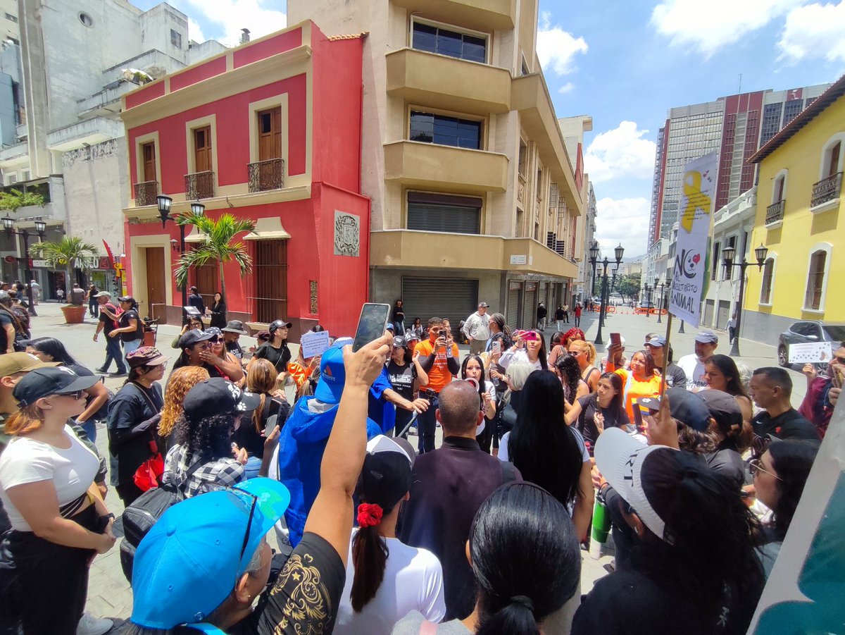 ReporteYa's tweet image. #19Abr #Caracas #Protesta #MaltratoAnimal 
@RobertLobo_ : Concentración en la Plaza Bolívar, para pedir reformas de leyes en pro de los animales. El maltrato animal debe conllevar sanciones más severas, es urgente. 
No es posible que en la mayoría de los casos los maltratadores
