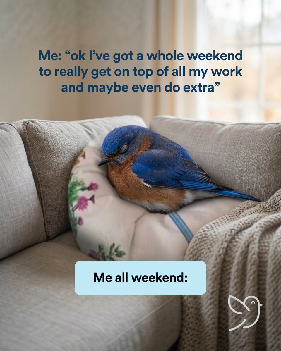 Bluebird Botanicals tweet media