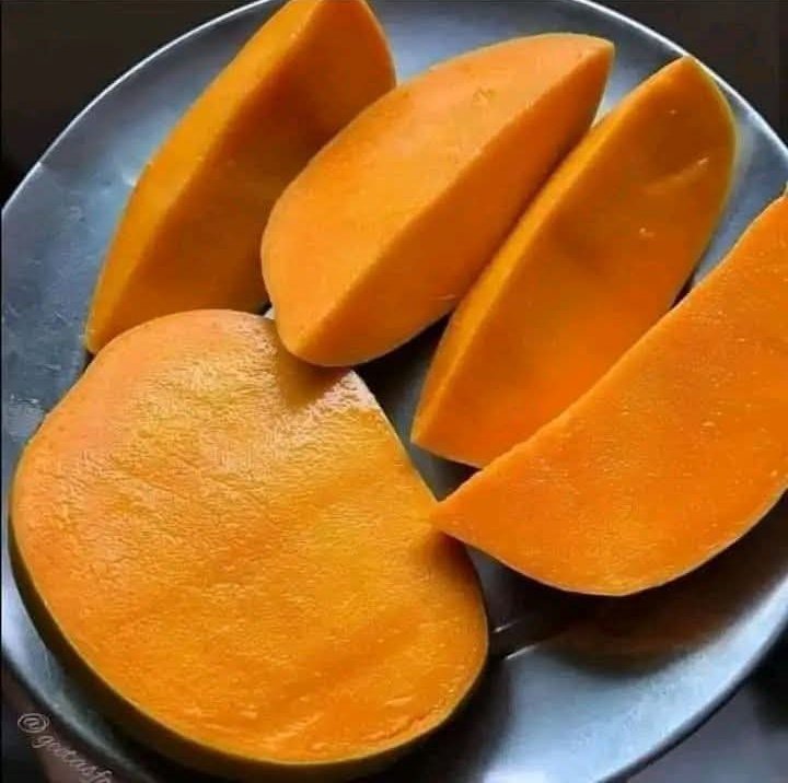 <a href="/JakeRammos/">🃏</a> 100/10 🔥