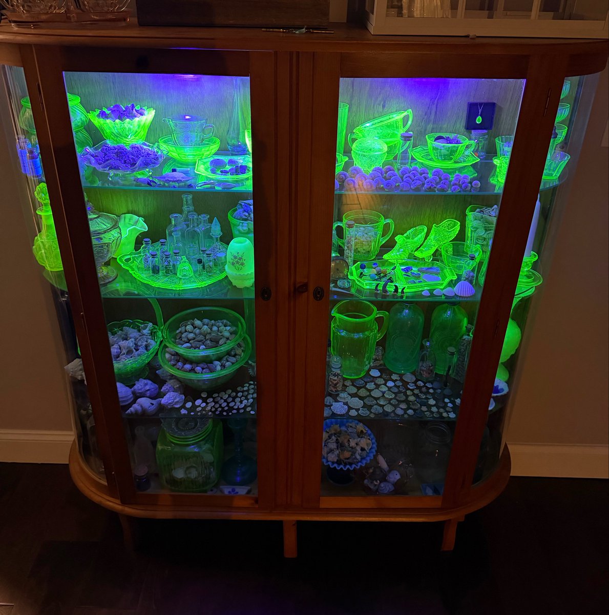 Finally got black lights in my spicy glass  cabinet 💚
