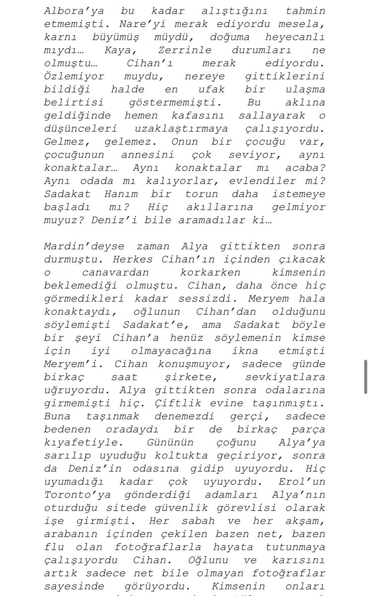 alyosa albora tweet media