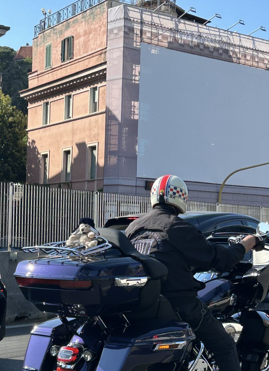 elasciami tweet media