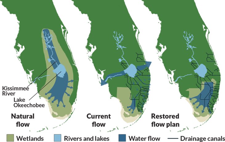 schne385's tweet photo. @elonmusk @boringcompany 

Lake Okeechobee’s dike system blocks the natural pre-development sheet flow south into the Everglades, dumping polluted water east into St. Lucie and west into the Caloosahatchee (hammering Fort Myers). 

Could The Boring Company’s rapid large-diameter tunneling tech create underground conveyance channels to safely restore that historic southward drainage and help CERP? 

Florida’s water crisis needs exactly the kind of innovative, high-volume infra you guys specialize in.