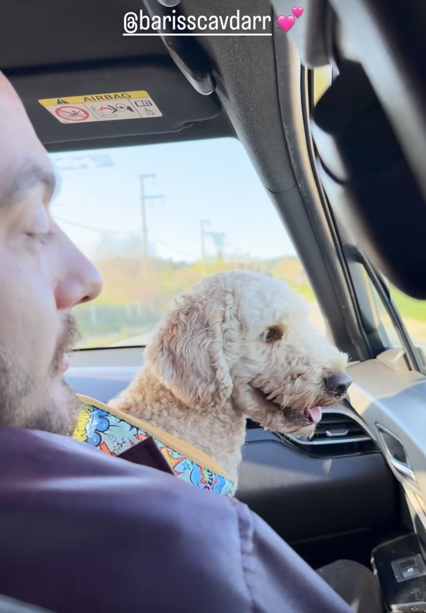 zikdsp's tweet image. Ekibin güzellik şaka mı müthişşşşşş bol bol video fotoğraf yayın vlog isteriz 🥹🥹🥹 #kısmetseolur #belbar #kerper