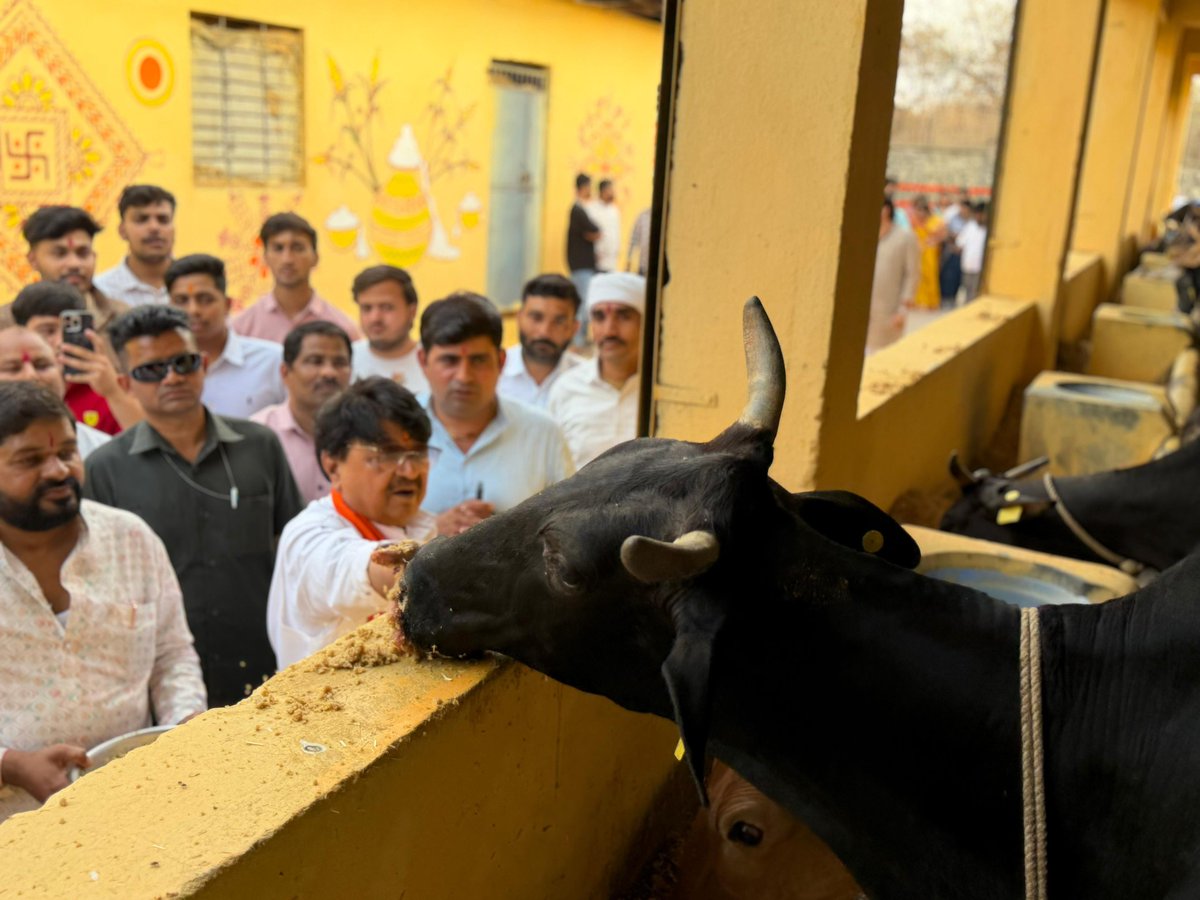 KailashOnline's tweet photo. गौ माता की जय !!!

आज जन्मदिवस के अवसर पर सपरिवार राऊ स्थित गौशाला पहुंचकर गौ माता की पूजा-अर्चना कर सेवा का सौभाग्य प्राप्त हुआ। 

इस अवसर पर गौ माता को गोग्रास अर्पित करते हुए अपार आनंद की अनुभूति हुई। 

इस मौके पर अर्धांगिनी श्रीमती आशा विजयवर्गीय जी के साथ समस्त परिवारजन उपस्थित रहे।