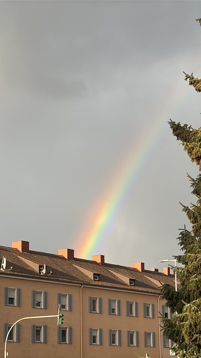 HAMDAStakePool's tweet image. Under the rainbow is the #Cardano treasure. Wishing you a lovely Sunday, #CardanoCommunity