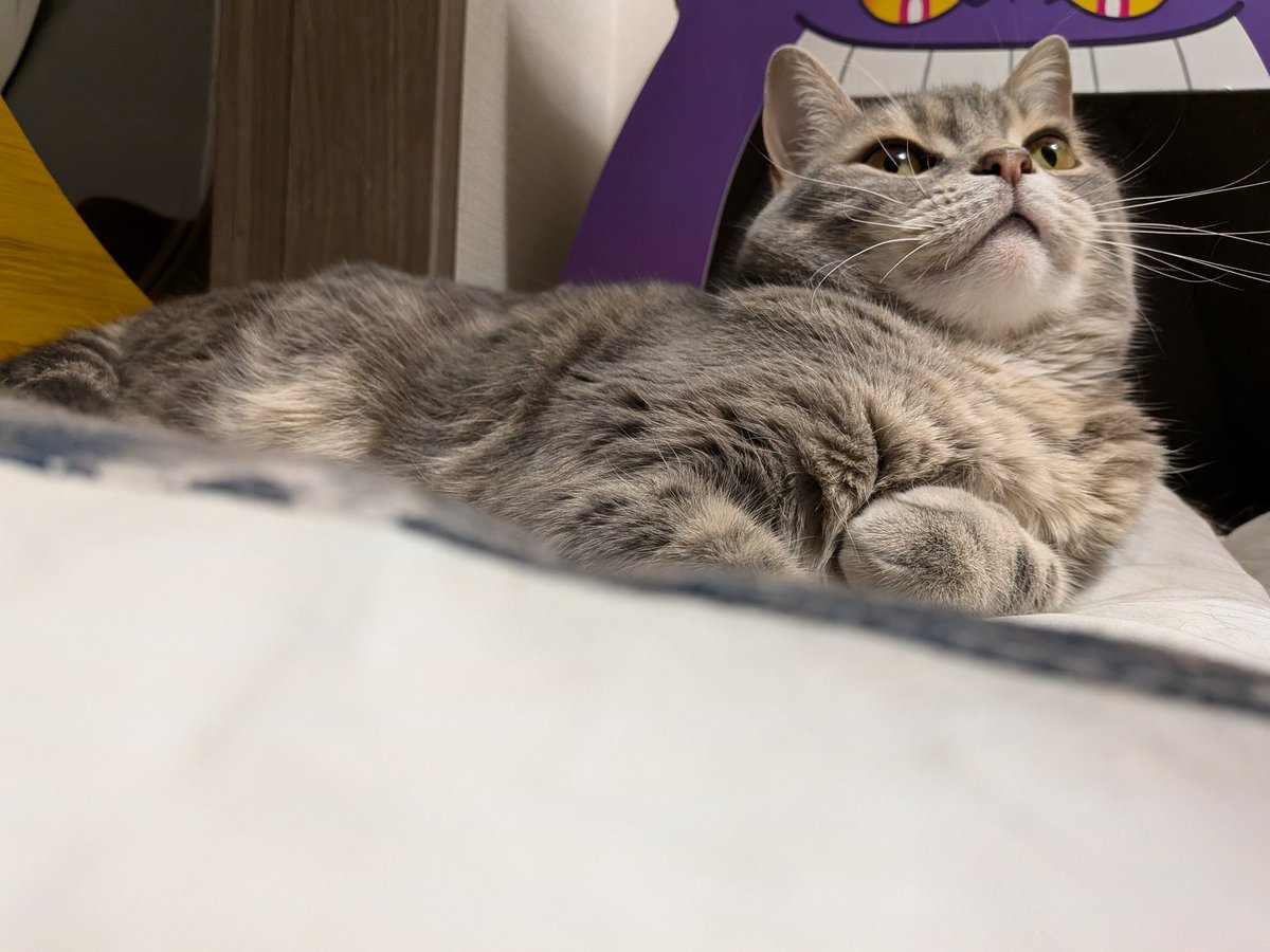 あぴお＆リク君 tweet media