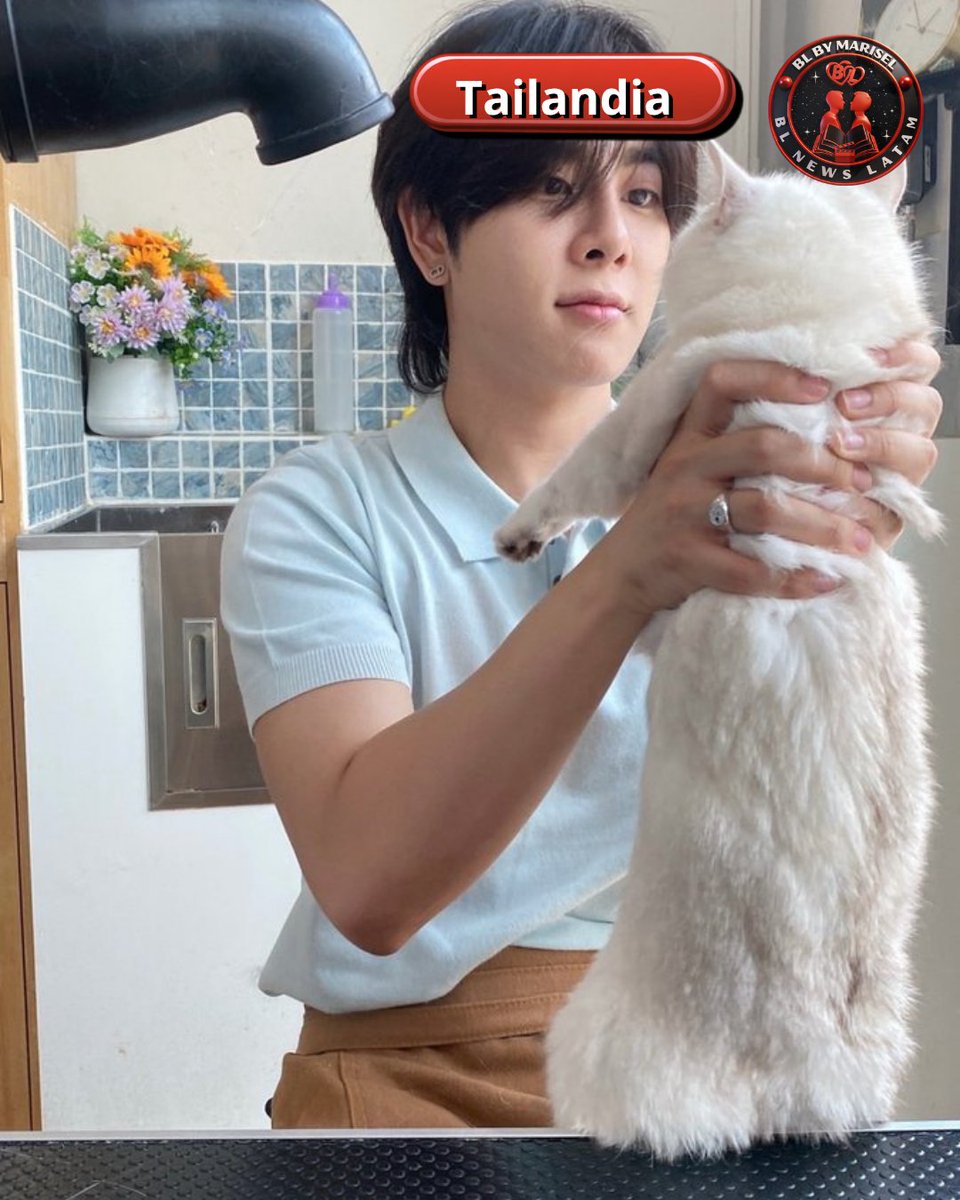 BL NEWS LATAM🎬📽🎞📄😄❤️‍🔥 tweet media