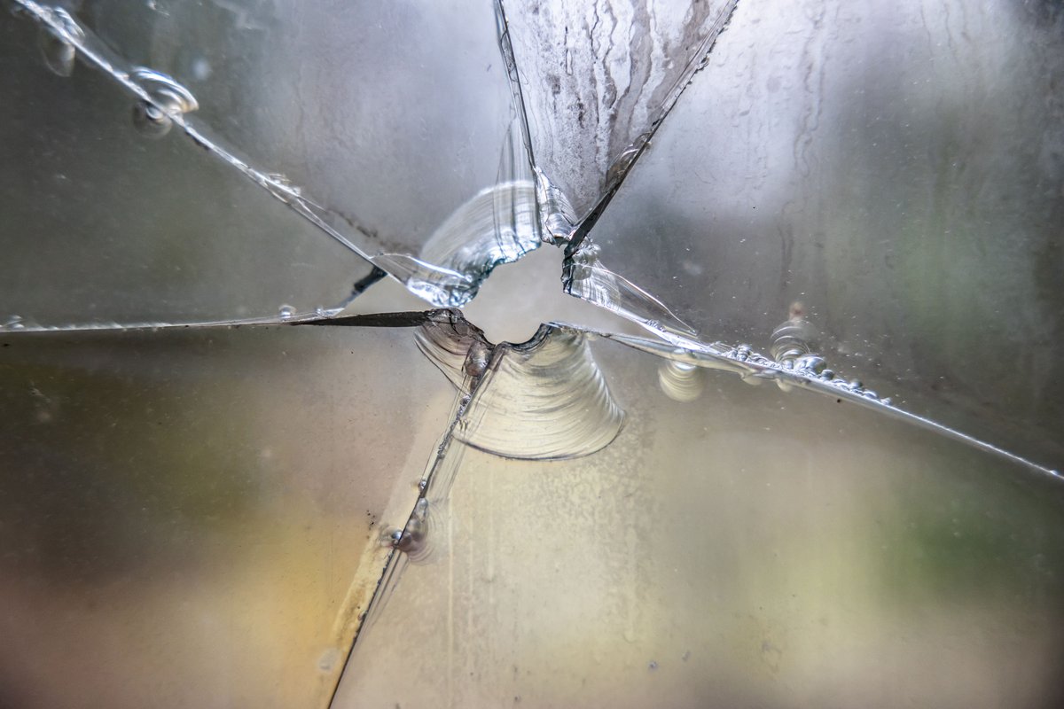 Queen_City_News's tweet image. BREAKING #UPDATE | Saturday night shootout in northwest Charlotte leaves one dead, damages local home, CMPD says 

What we know &amp;gt;&amp;gt; qcnews.com/charlotte/nort…