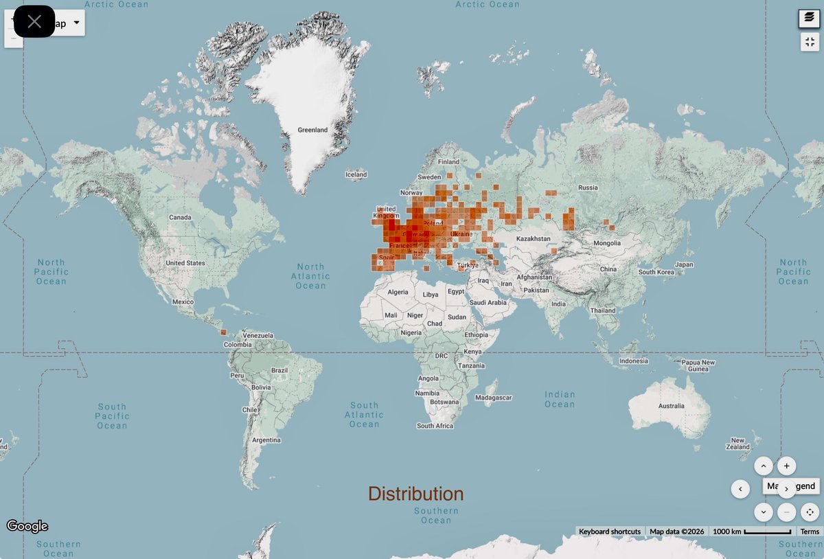 🐿️ 🇨🇭🇦🇹 🦋 Jennie 🐸 🇱🇮 🇩🇪 🦢 tweet media