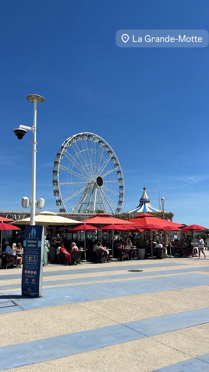 3adoul74🇩🇿 tweet media