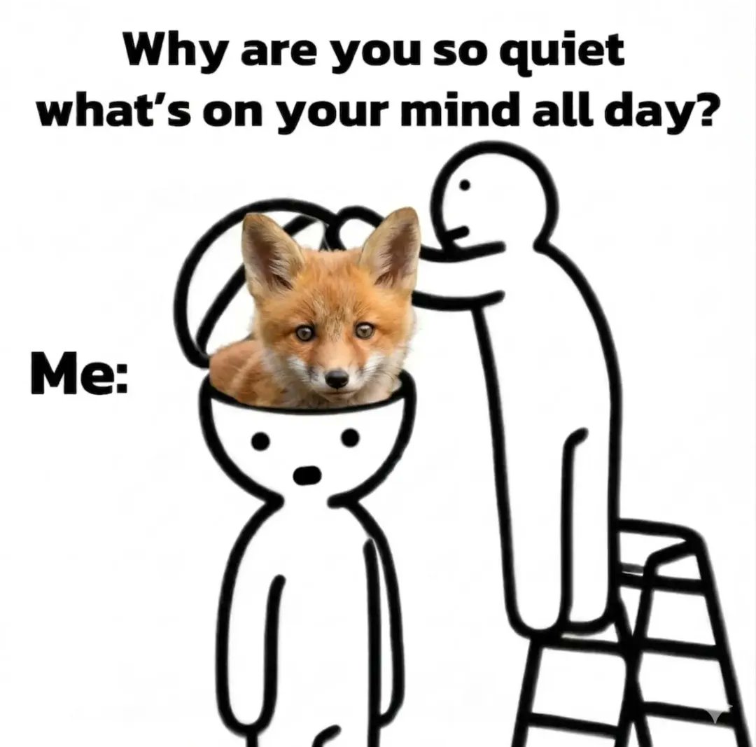 🍁 𝓣𝓱𝓮 𝓕𝓸𝔁 𝓛𝓲𝓯𝓮 🌾🦊 tweet media