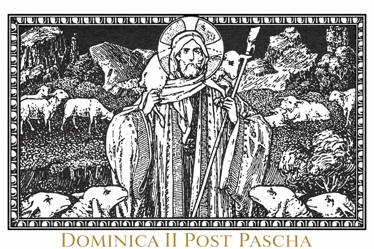 Malleus Haereticorum Modernistarum tweet media