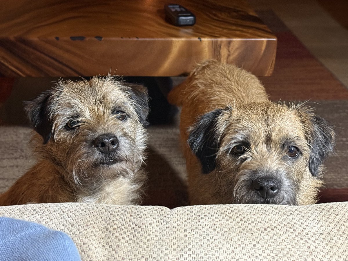 M is fuming 
Just back from amazeballs family holibobs 
<a href="/VirginAtlantic/">virginatlantic</a> delayed flight by changing the aircraft we were on meaning we missed connecting flight 

Appawently the cost of new flights with BA (as virgin don’t do LHR to GLA) for 4 and 8 hrs in Term 5 not covered 🤬🤬🤬