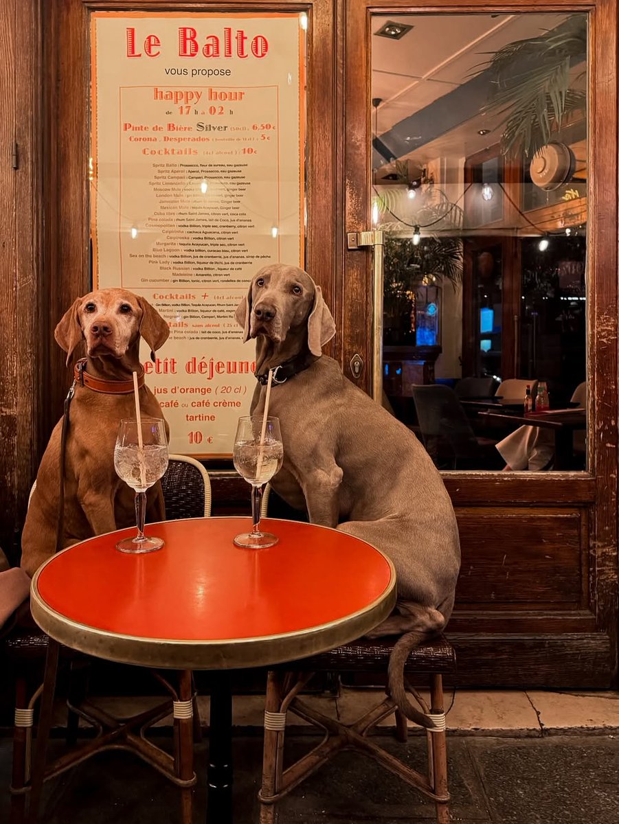 Parisian Aesthetics tweet media