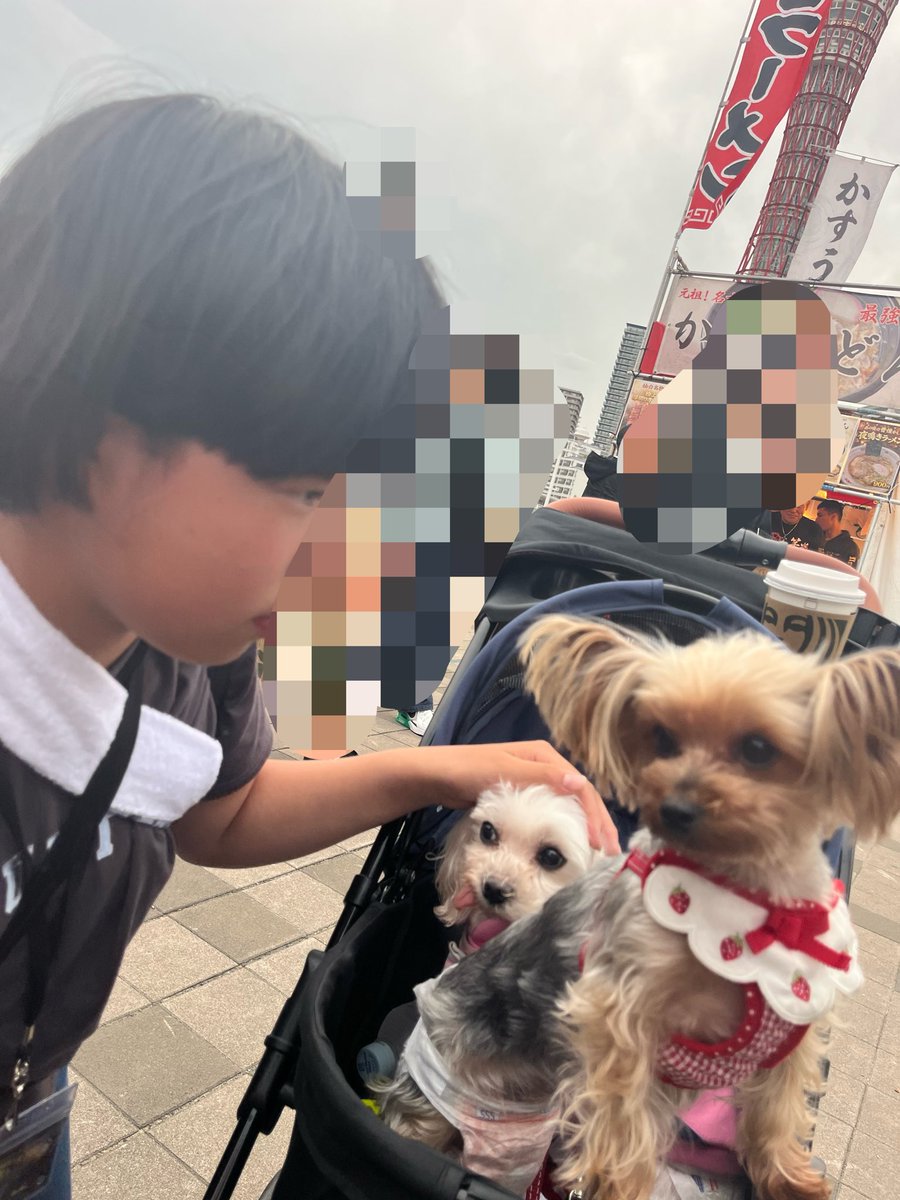 深海亜貴 tweet media