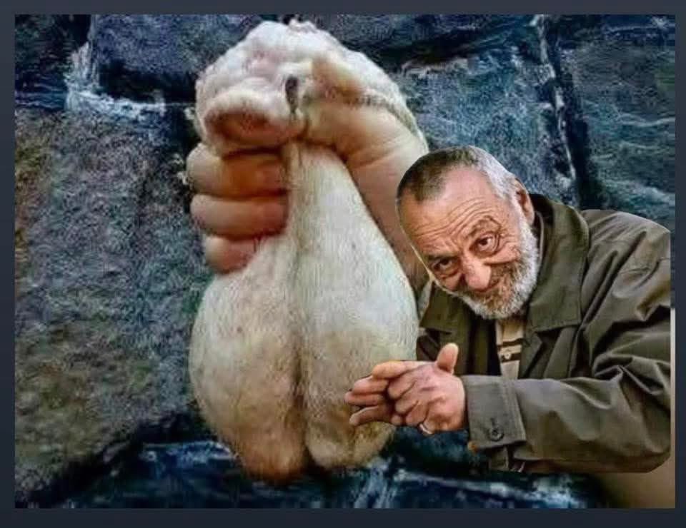 entube_55 tweet media