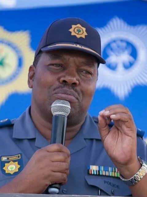 Sunflower tweet media