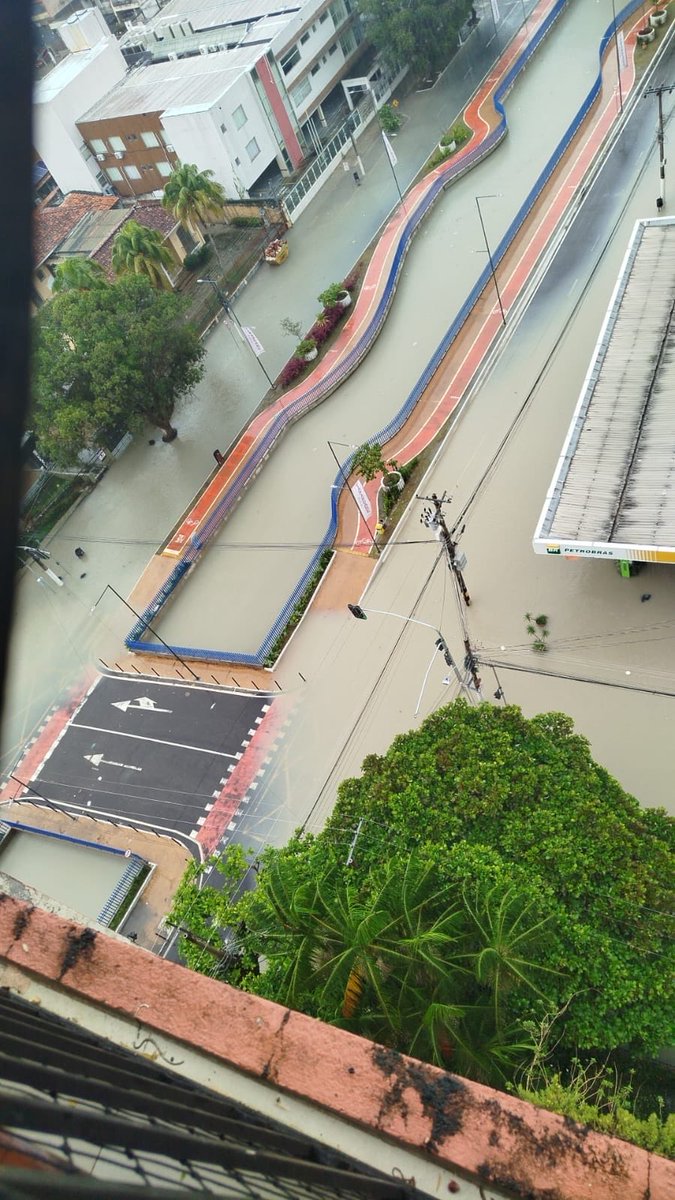 🅰️line. tweet media