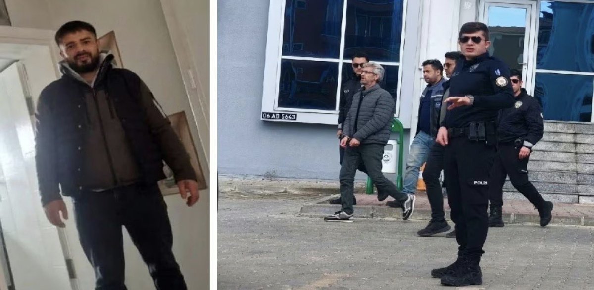 Sokak Kedisi tweet media