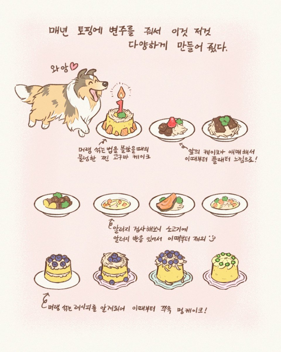 빙카✿VINCA tweet media