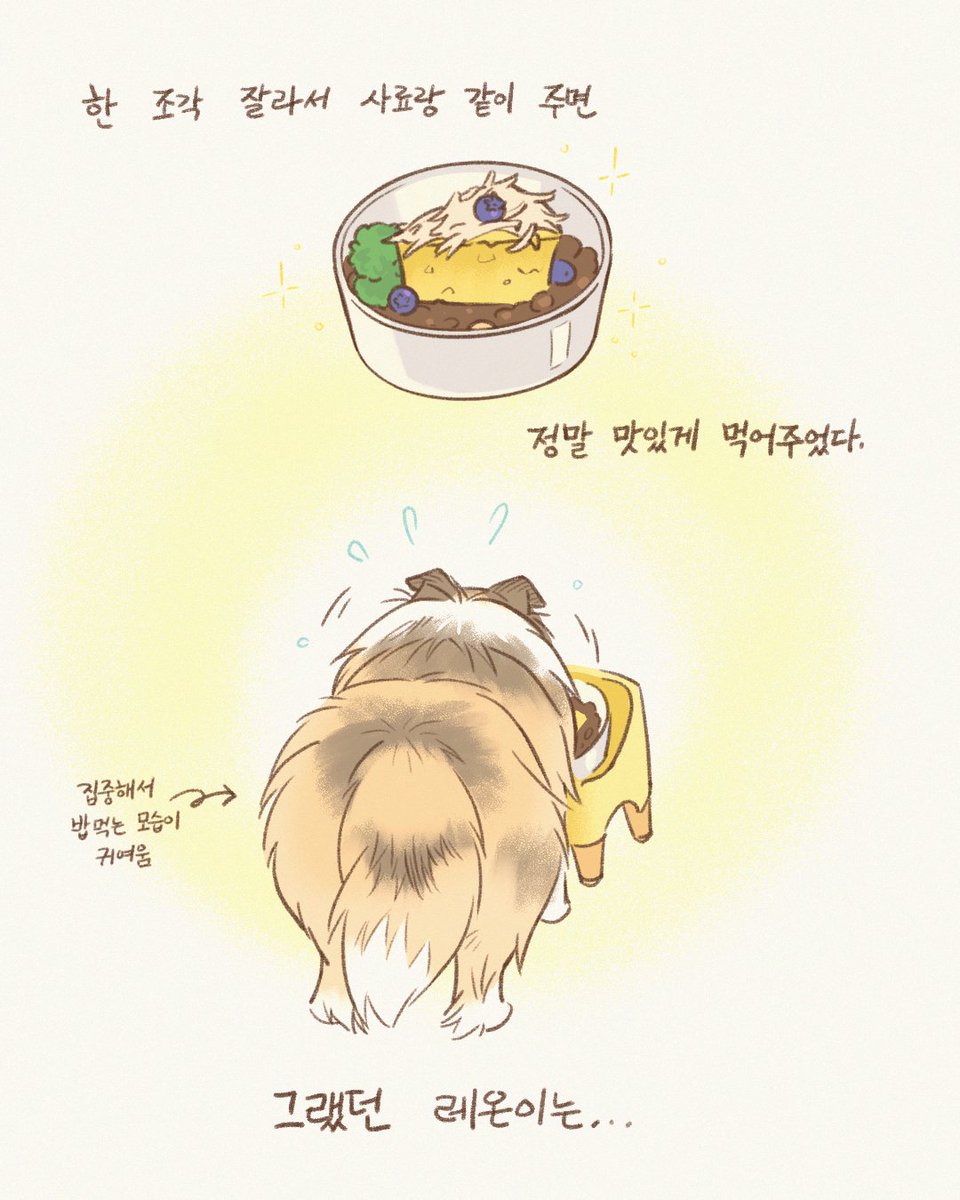 빙카✿VINCA tweet media