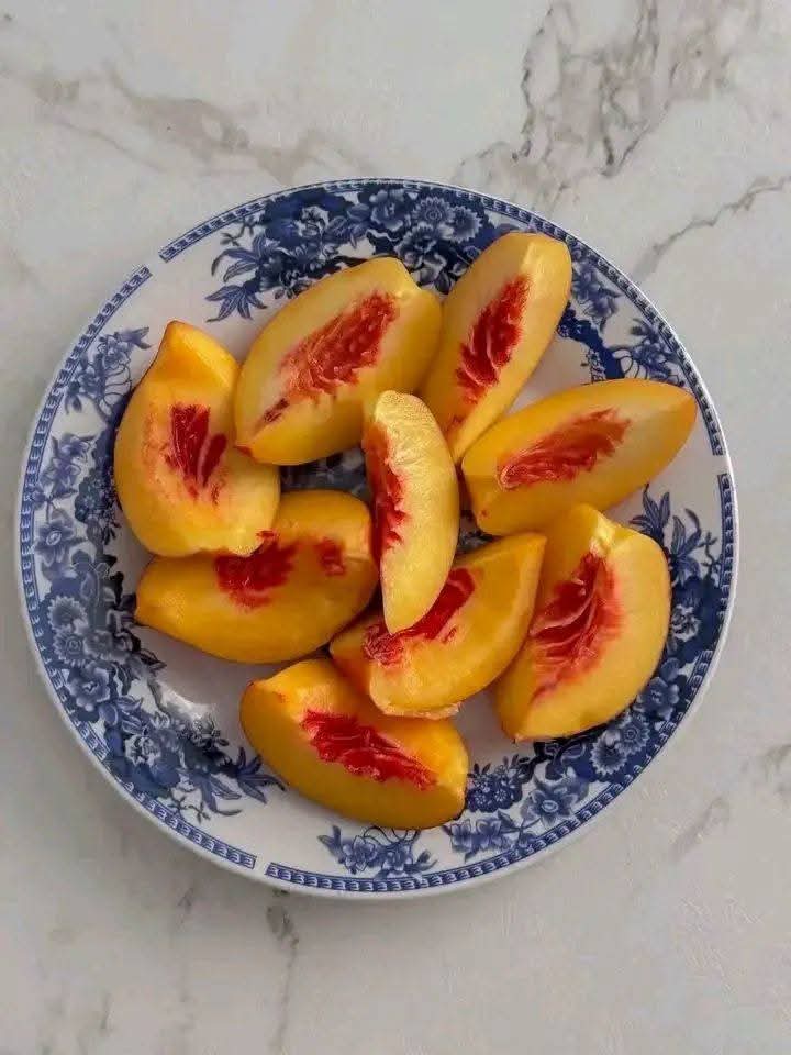 زهرة اللوتس 💍❤ tweet media