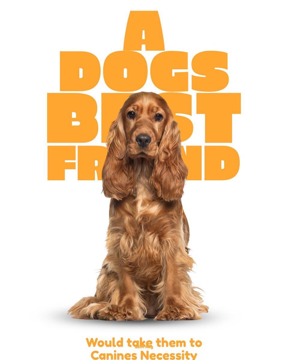 CaninesNecesity's tweet image. 🐾✨ Something PAW-some is on the way! ✨🐾

We’re getting ready to launch your new favorite online dog supply store 🐶🛍️ — packed with everything your furry best friend needs (and a few things they’ll just really want 
#ComingSoon #DogLovers #PetSupplies #SpoilYourDog #DogLife