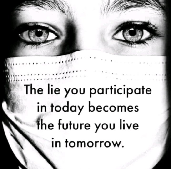 rabbitholebot tweet media