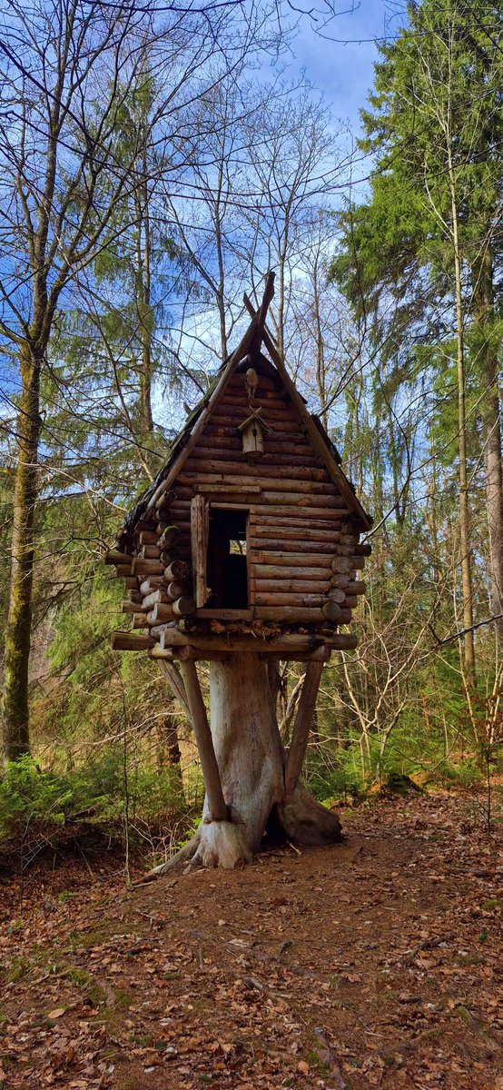 ...irgendwo im Wald....  #saxony