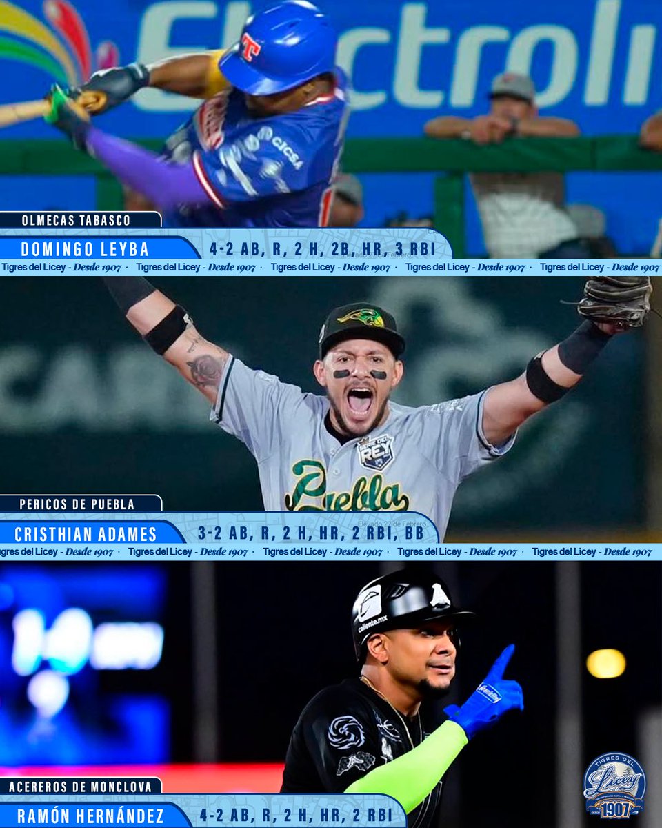Tigres del Licey tweet media