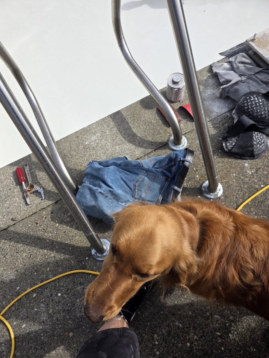 James Delaney tweet media