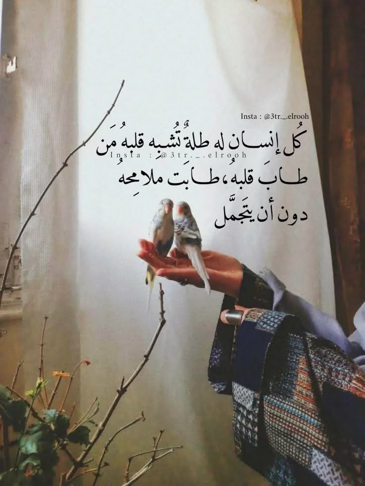 شُمـۈخ tweet media