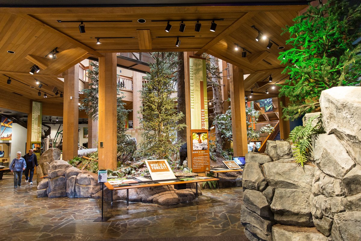 Governor Tina Kotek tweet media