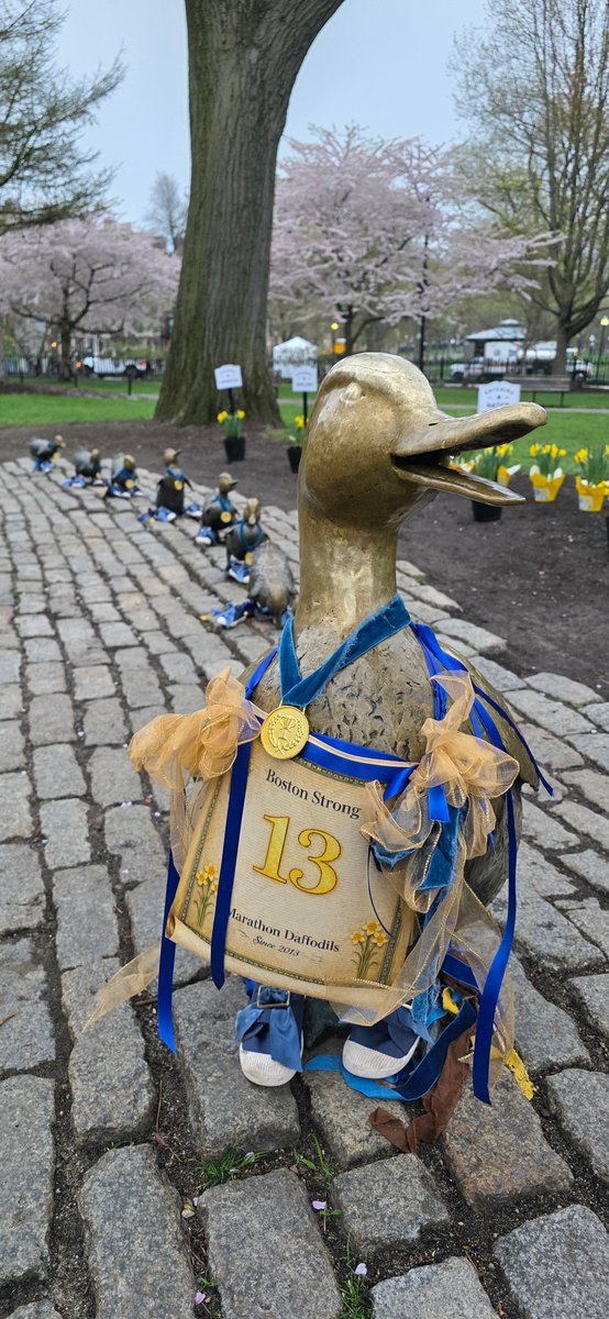 Only In Boston tweet media
