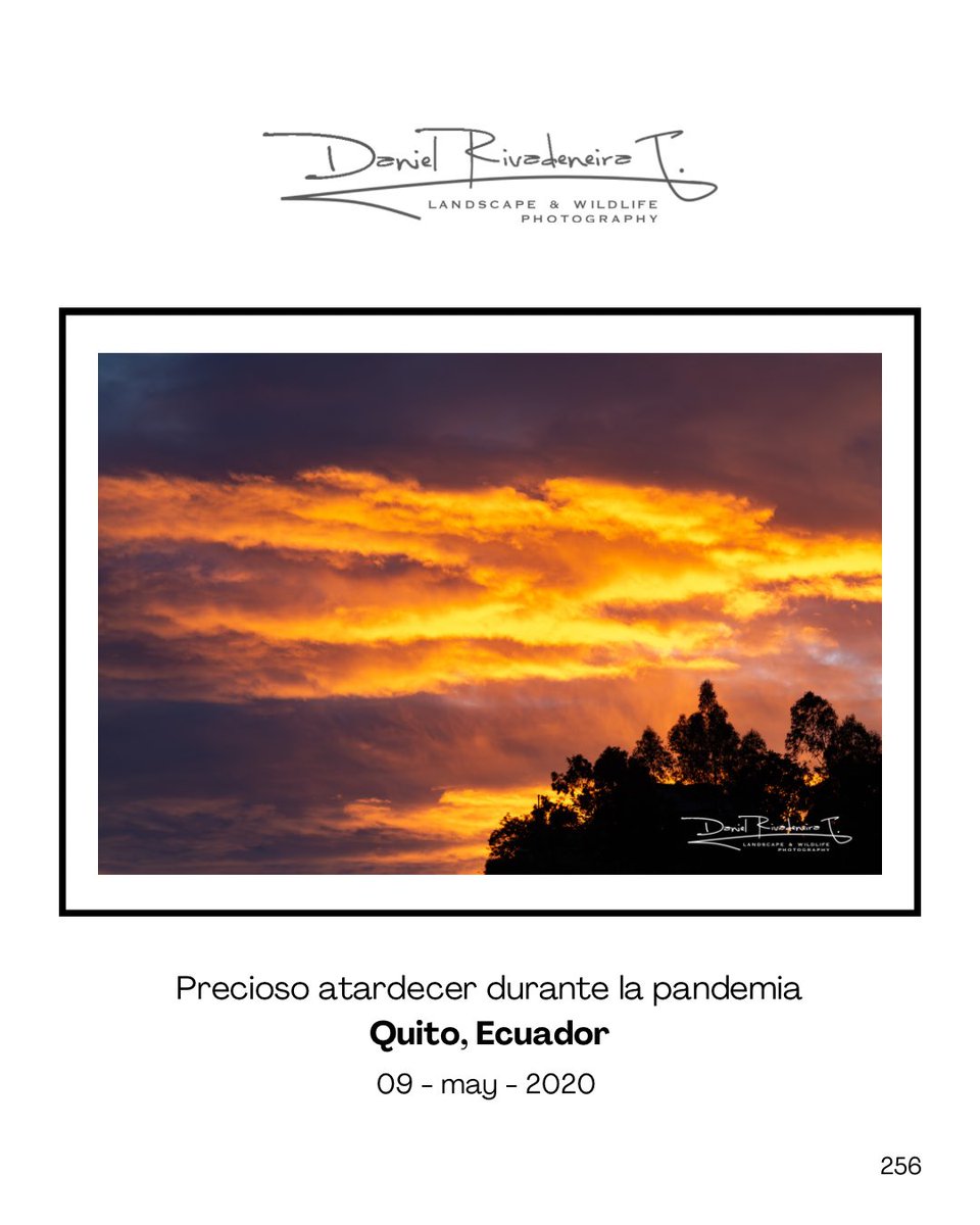DRivaT90's tweet image. 256. Precioso atardecer durante la pandemia 

Quito, Ecuador 🇪🇨
-
-
-
#Ecuador 
#Canon 
#Landscape 
#PhotographyIsArt 
#ThisIsNotAI