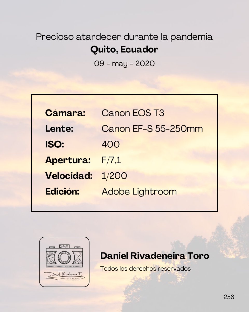 DRivaT90's tweet image. 256. Precioso atardecer durante la pandemia 

Quito, Ecuador 🇪🇨
-
-
-
#Ecuador 
#Canon 
#Landscape 
#PhotographyIsArt 
#ThisIsNotAI