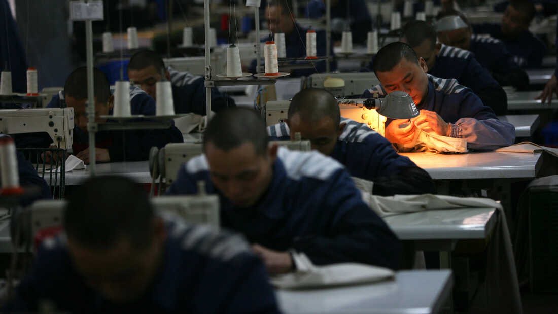 BS Detector tweet media