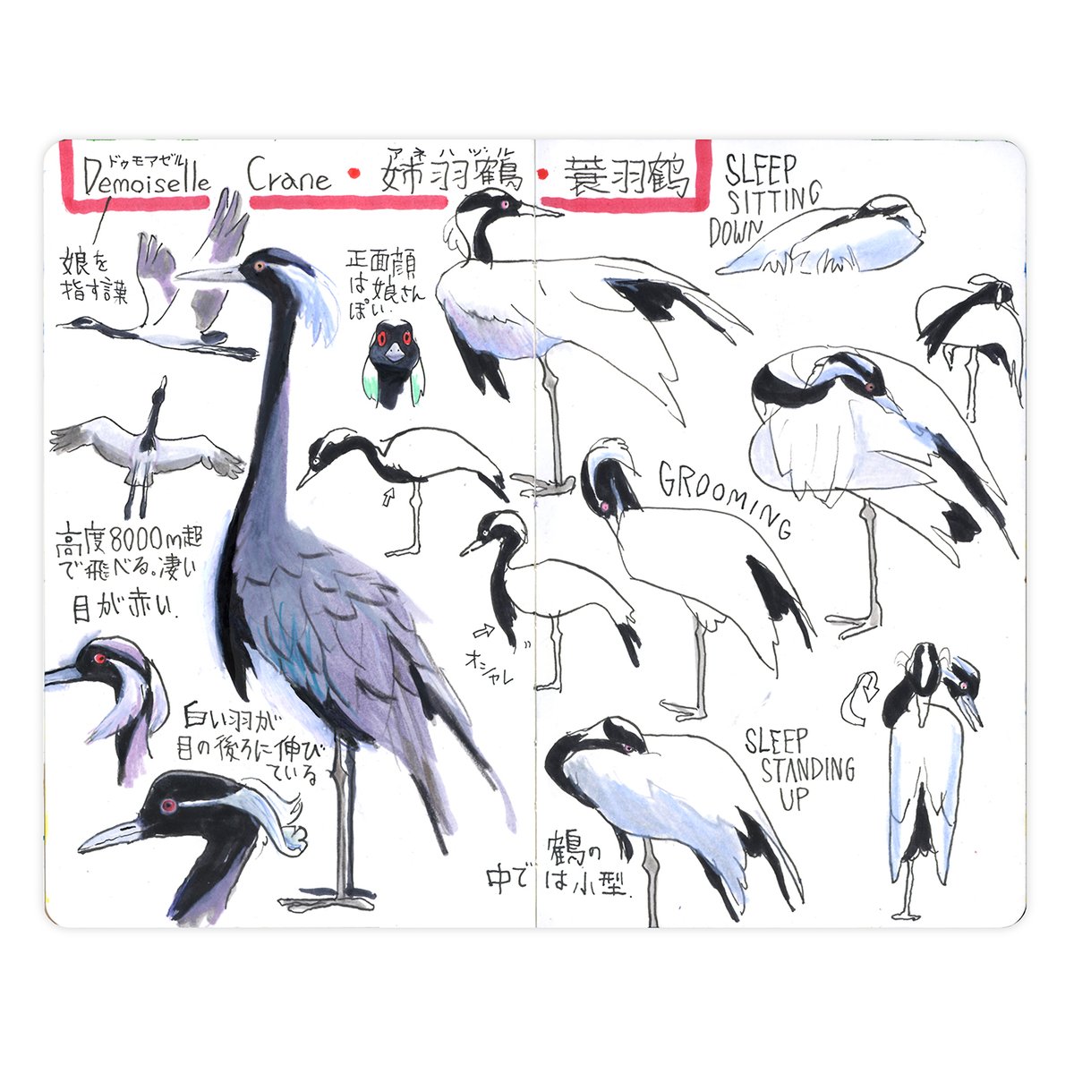 ということで
#ウォーキングスケッチ #walkingsketch 