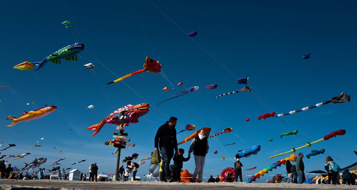 ExpressNewsPK's tweet photo. Giant kites take over the sky at Berck-sur-Mer! A magical festival in France 🪁✨
فرانس کے ساحل پر آسمان رنگین ہو گیا! دیوہیکل پتنگوں کا شاندار نظارہ 🪁✨
Source : Reuters
#KiteFestival #BerckSurMer #France #Festival #Kites #TravelFrance #Tourism #SkyArt #InternationalFestival #BeautifulPlaces