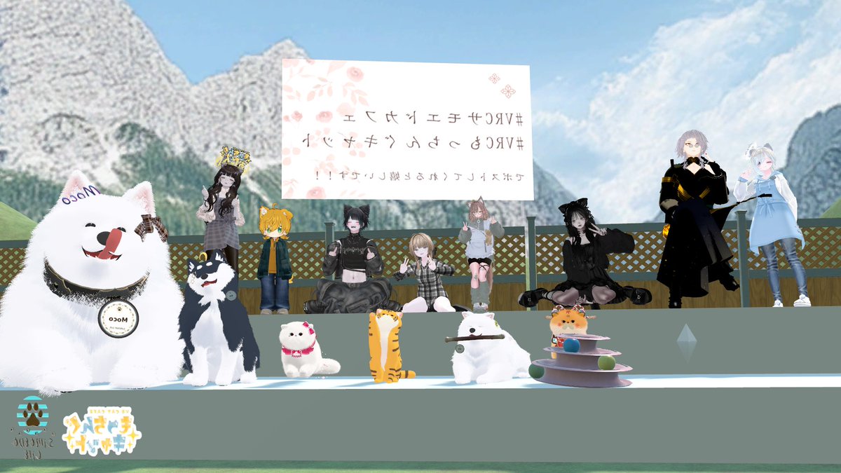 ヒトデ tweet media