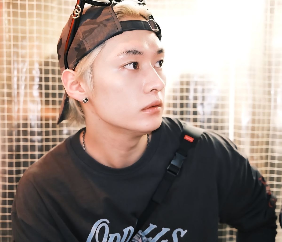 Woodsy Corner. tweet media