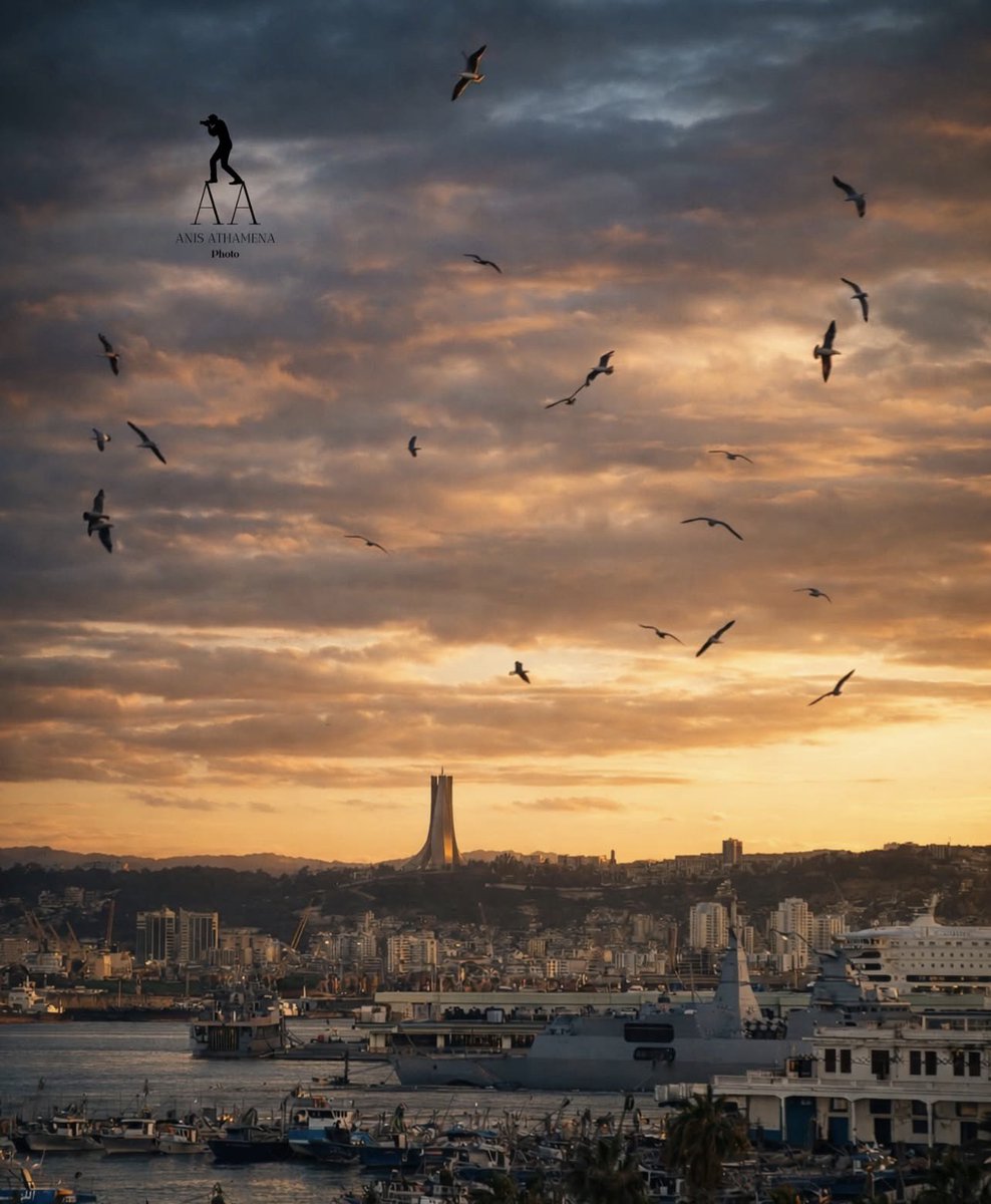 Algeria Gate -English tweet media