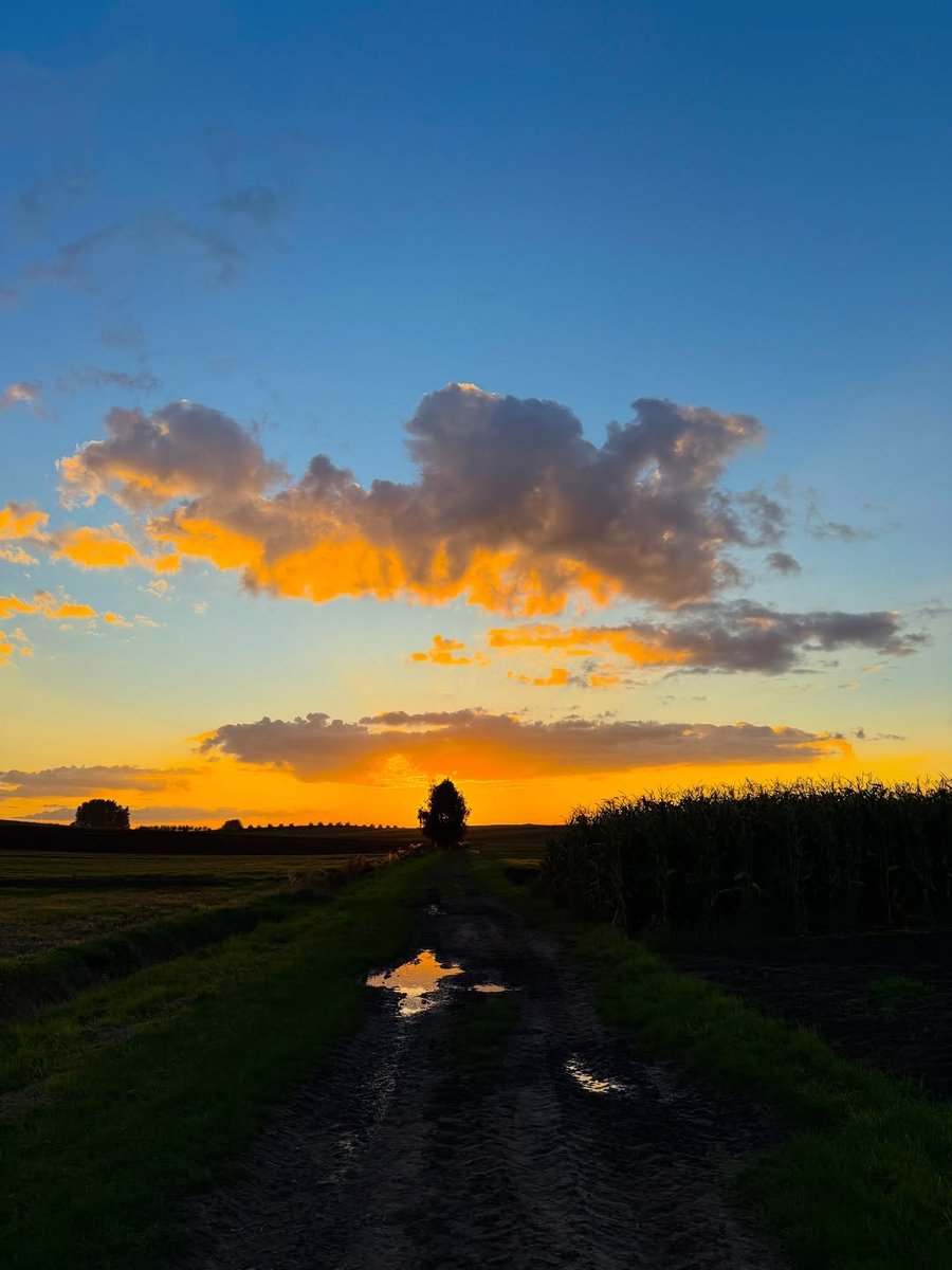 mariangela merluzzi tweet media