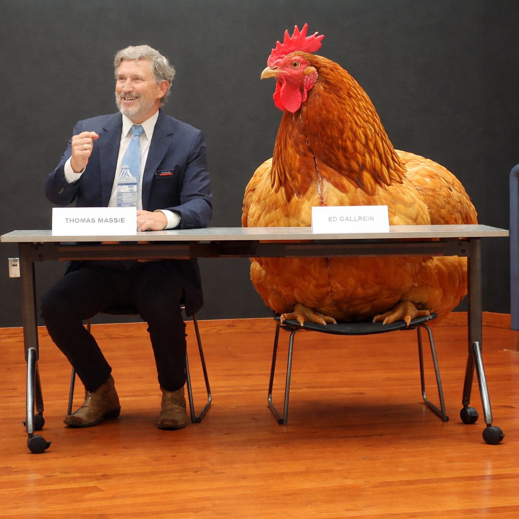 Agnostic libertarian tweet media