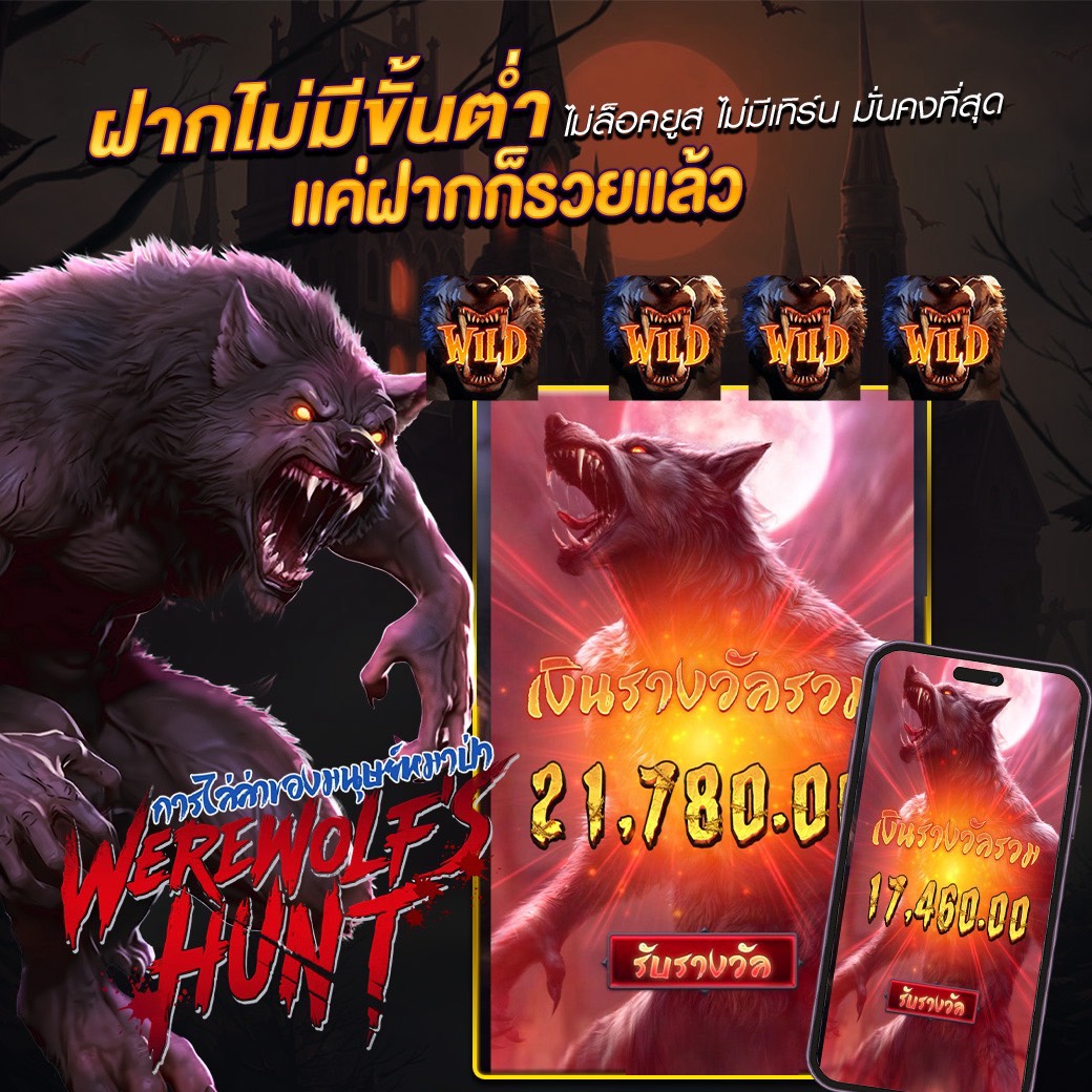 ชาแฮ 🍎 tweet media